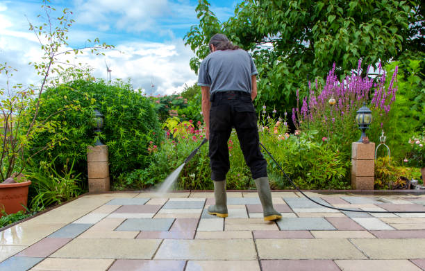 Best Animal Enclosure Cleaning  in West Bradenton, FL