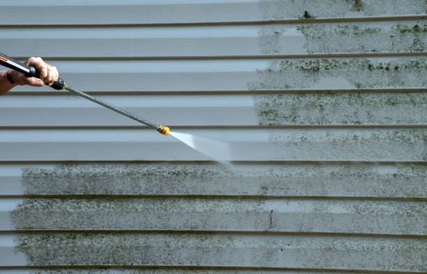 Best Sidewalk and Walkway Cleaning  in West Bradenton, FL